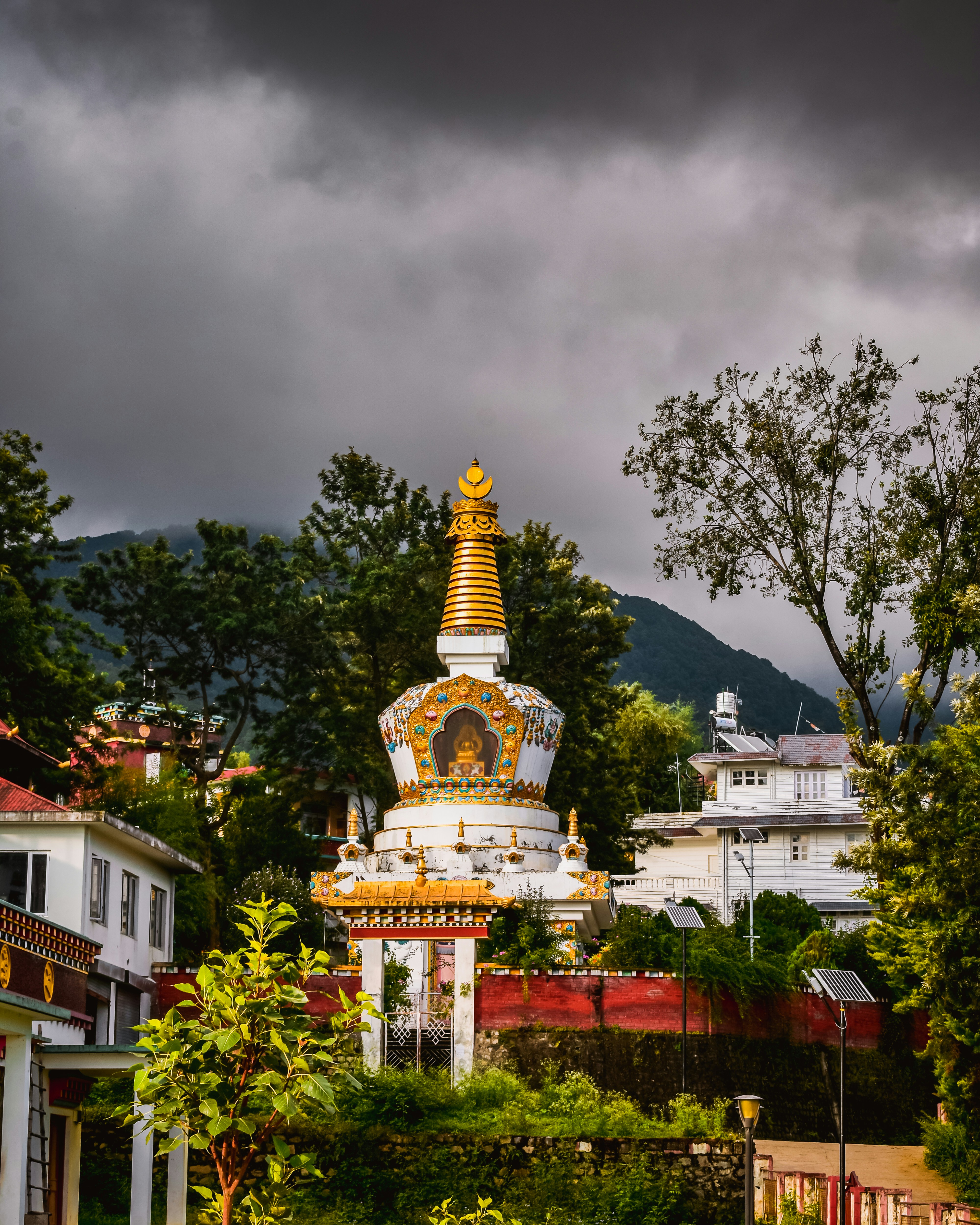 NY McLeodganj Triund Bir  |  3N4D Image 2