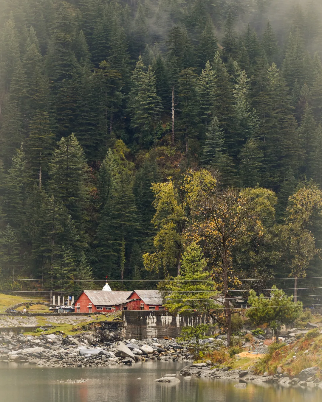 Barot Valley Bir Billing | 2N3D | Ex- Delhi/ Chandigarh Image 5