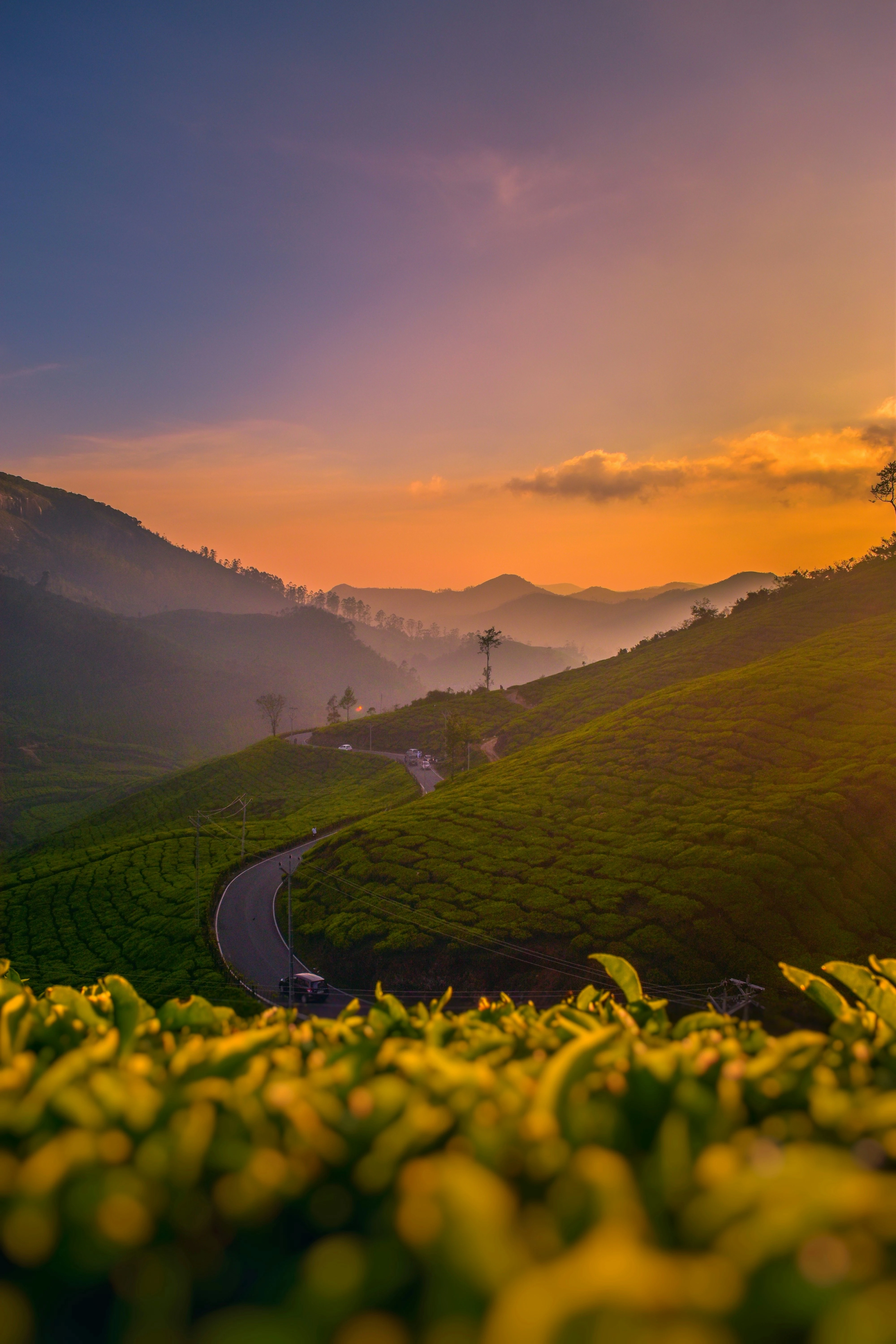 Kerala Backpacking Trip | 4N5D Image 3