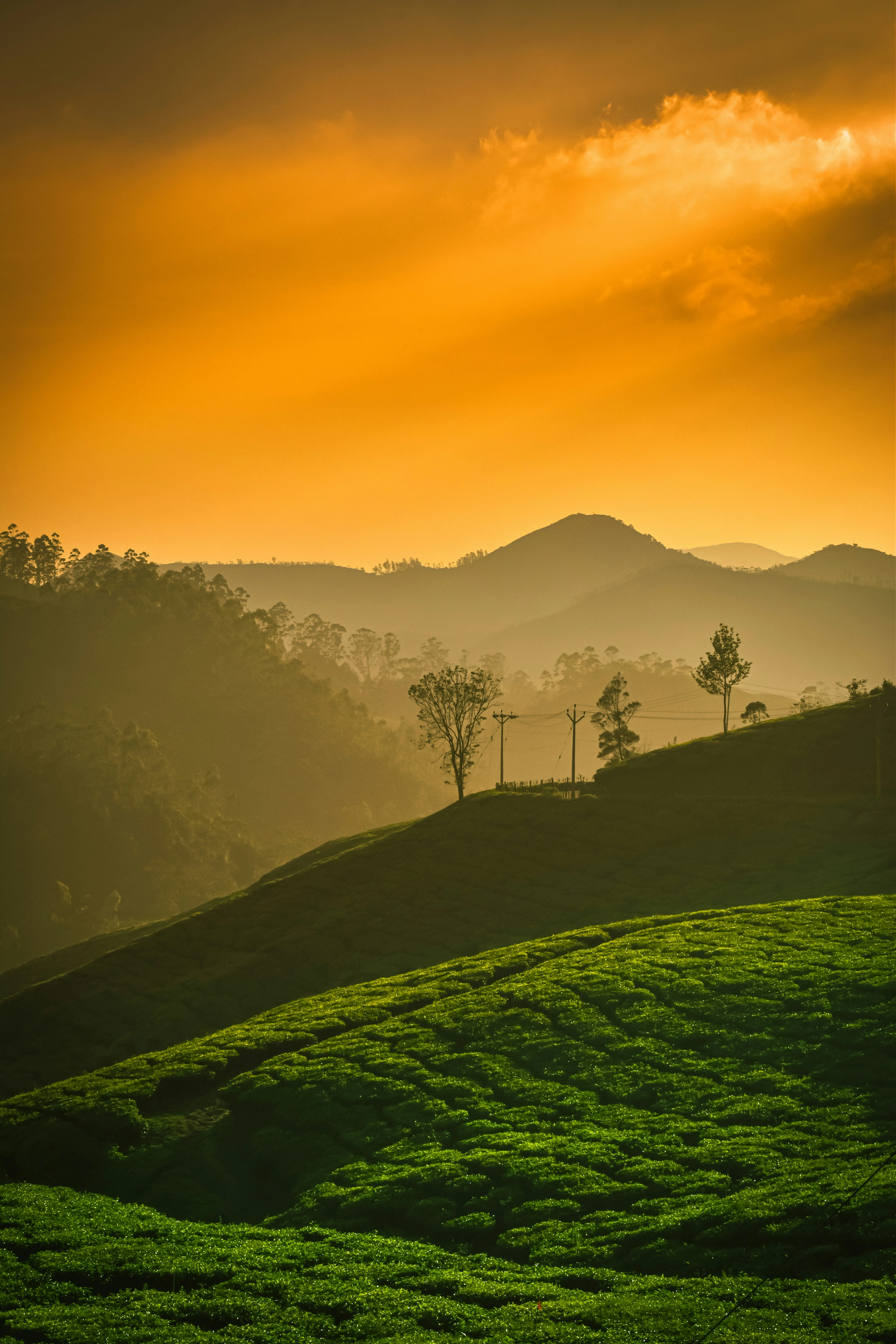 Kerala Backpacking Trip | 4N5D Image 5
