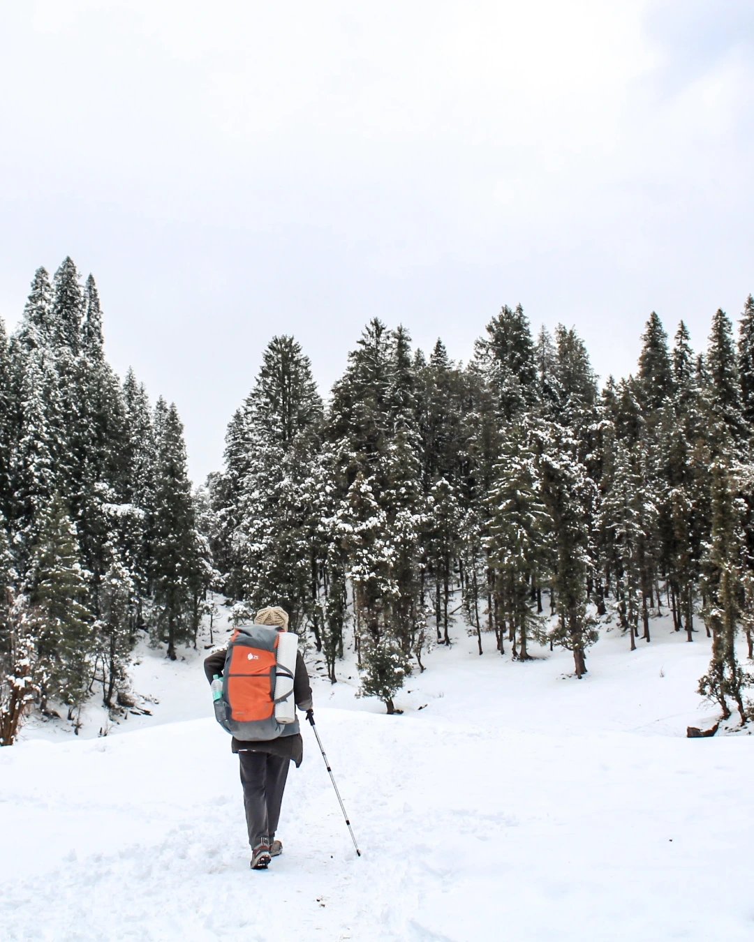 Kedarkantha Trek 4N5D Ex Dehradun Image 3