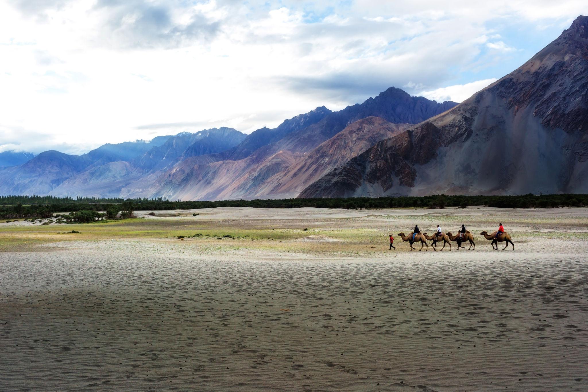 Ladakh Umling La Road Trip | 7N/8D | Leh to Leh Image 3