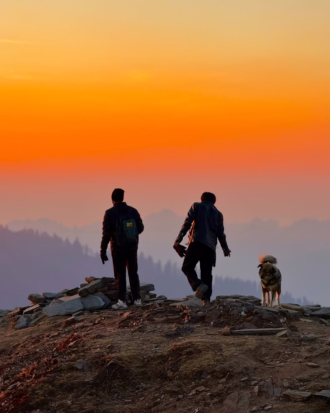 NY Jibhi Tirthan Valley Jalori Pass | 2N3D Image 5